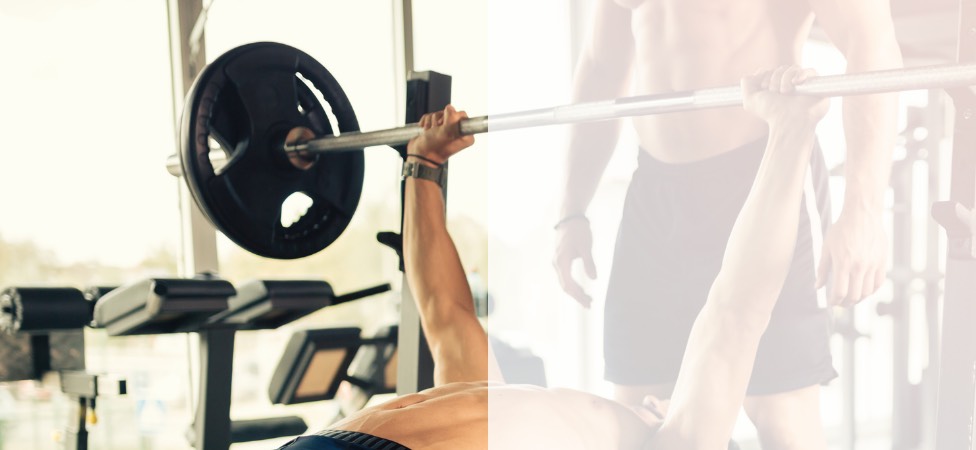 Bench & Gym Equipment