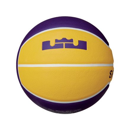 Nike LeBron James Playground Basketball